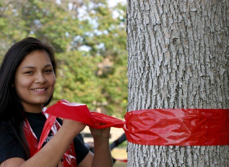 Fin des inscriptions pour le voyage des donateurs 2014